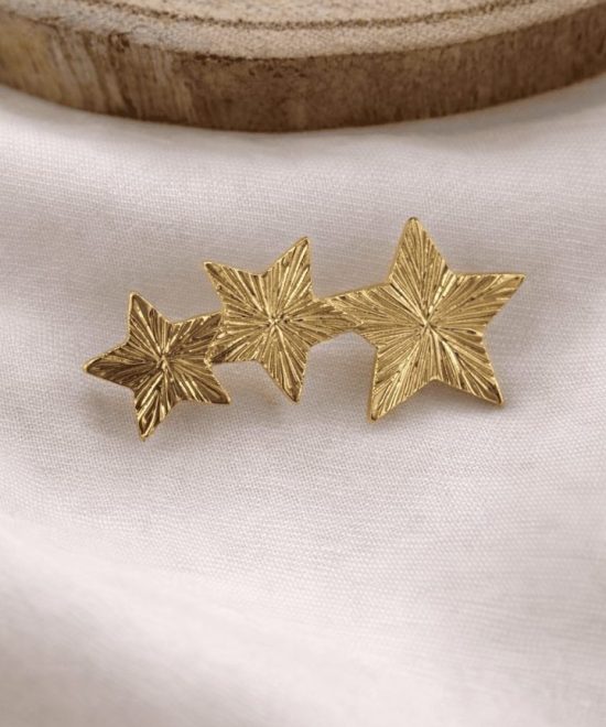 Broche Estrellas